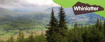 A view from Whinlatter Forest