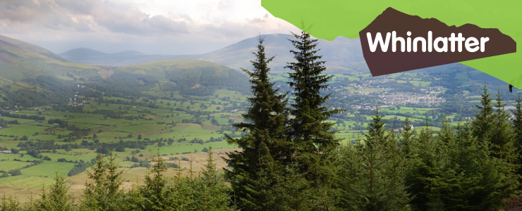 A view from Whinlatter Forest